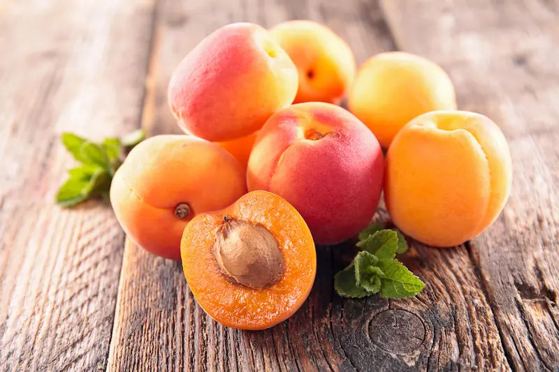 Apricot in Ayurveda Evidence-Informed Guide